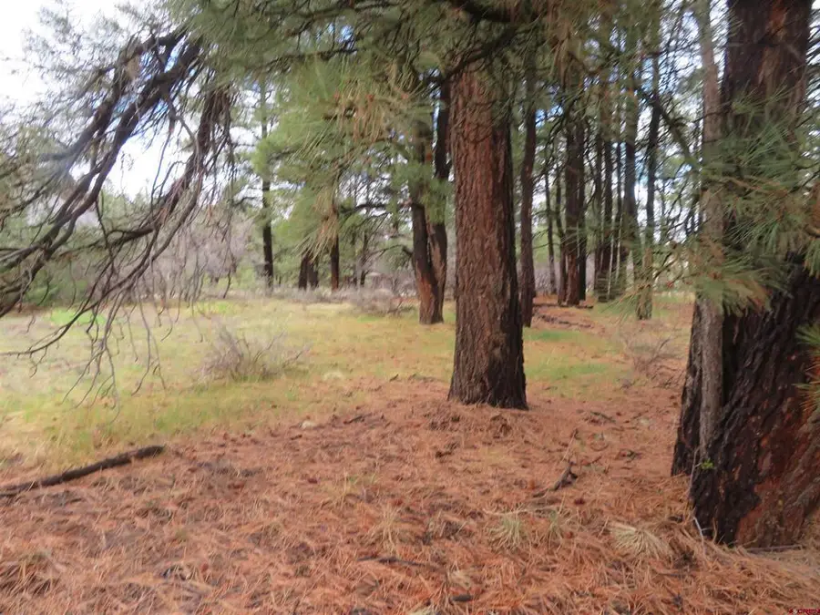 275 Beaver Circle, Pagosa Springs, CO 81147 - #2