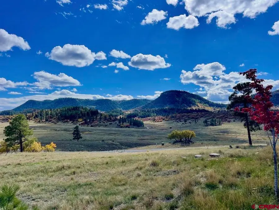 331 Spring Creek Circle, Pagosa Springs, CO 81147 - #2