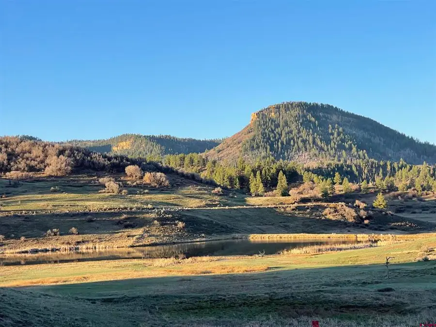 331 Spring Creek Circle, Pagosa Springs, CO 81147 - #3