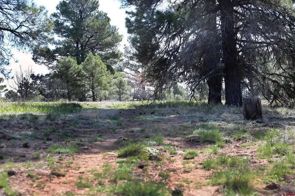 492 Prospect Boulevard, Pagosa Springs, CO 81147 - #1