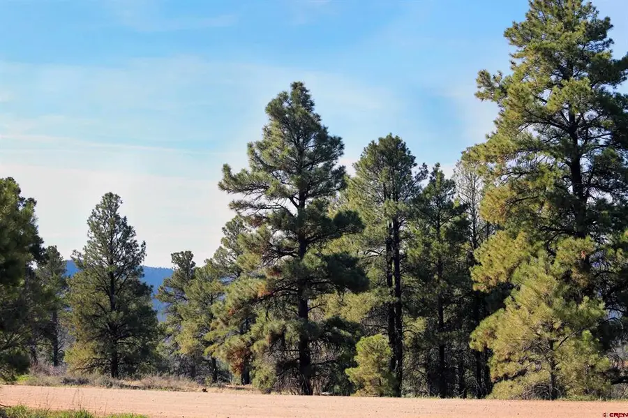454 Prospect Boulevard, Pagosa Springs, CO 81147 - #2