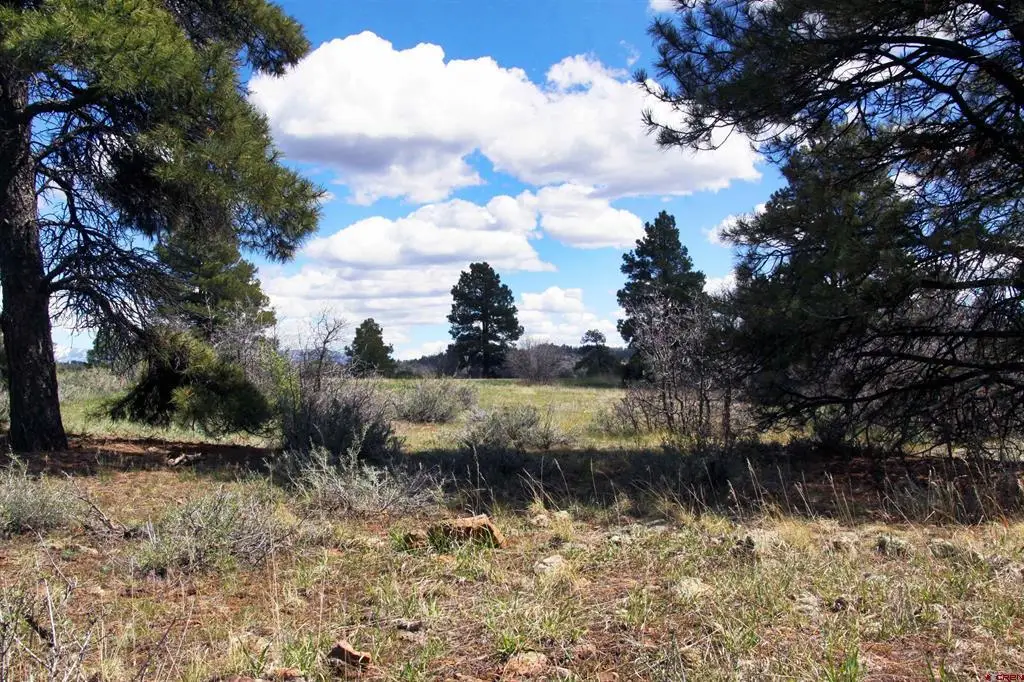 444 Prospect Boulevard, Pagosa Springs, CO 81147 - #1