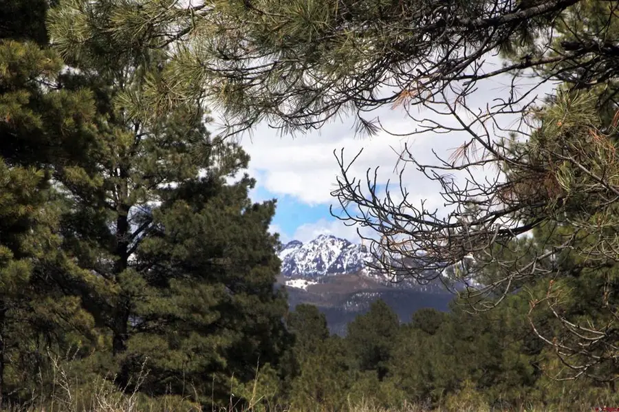 444 Prospect Boulevard, Pagosa Springs, CO 81147 - #3