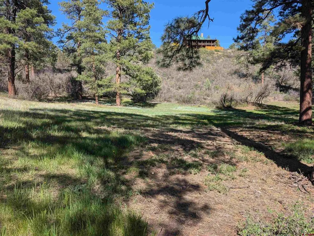 541 Blue Jay Circle, Pagosa Springs, CO 81147 - #1