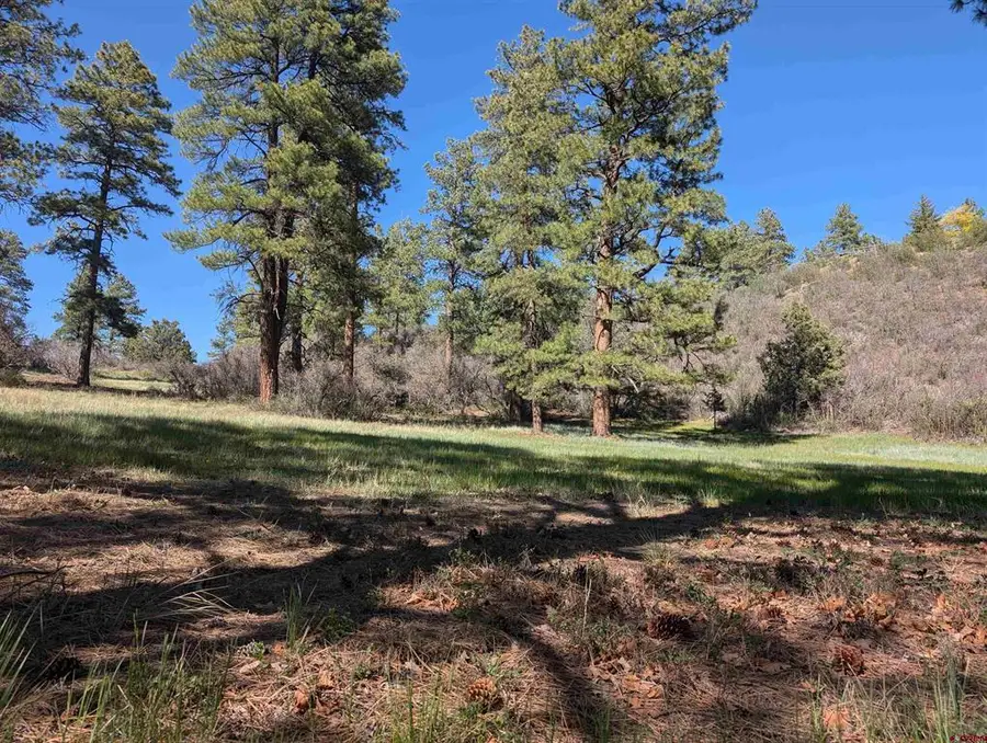 541 Blue Jay Circle, Pagosa Springs, CO 81147 - #2