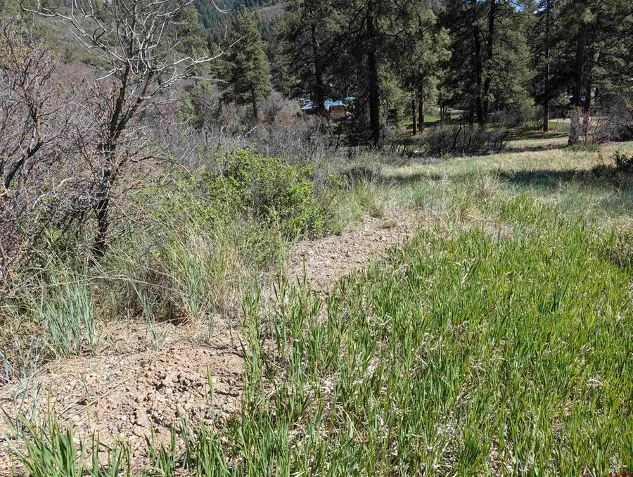 541 Blue Jay Circle, Pagosa Springs, CO 81147 - #3