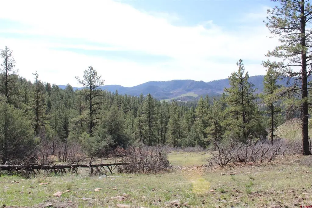881 Ironwood Drive, Pagosa Springs, CO 81147 - #1