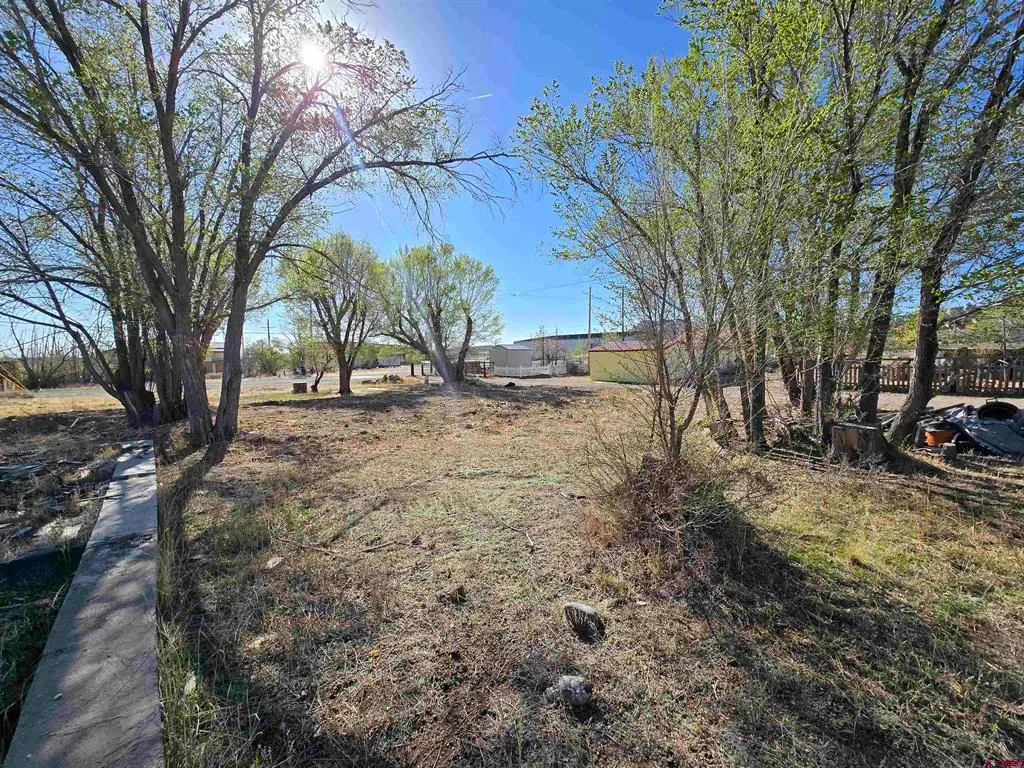 1035 8th Street, Del Norte, CO 81132 - #1