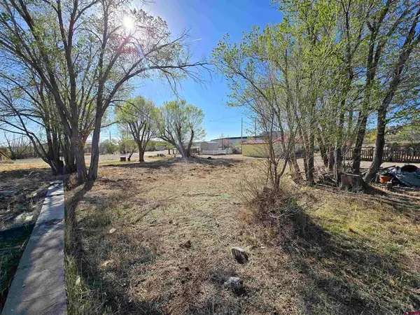 1035 8th Street, Del Norte, CO 81132