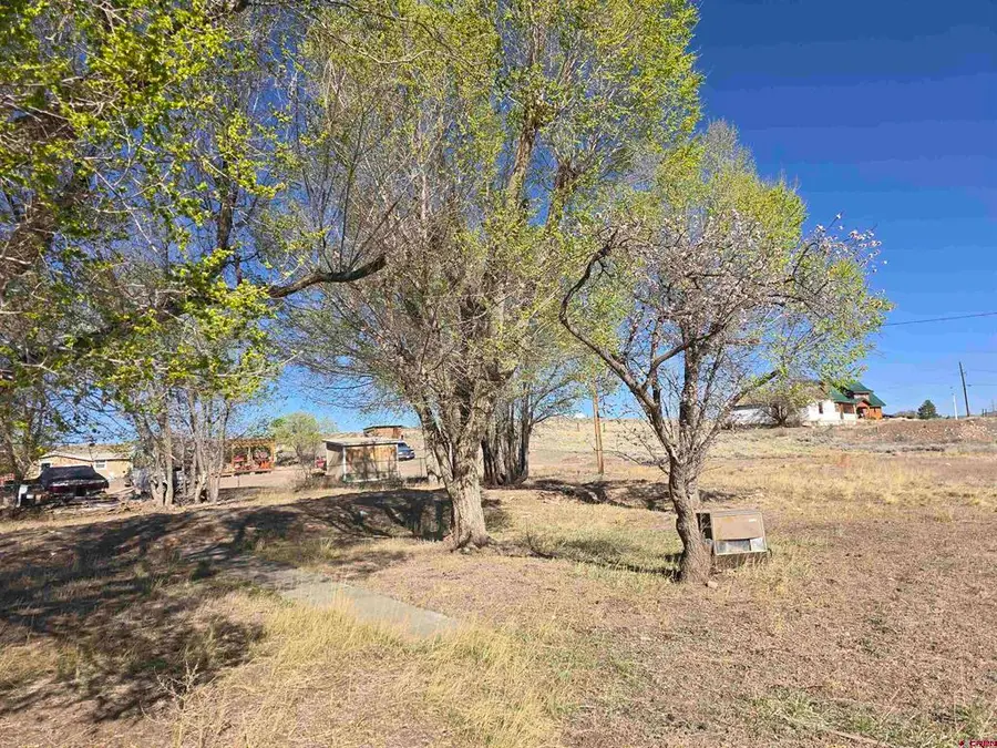 1035 8th Street, Del Norte, CO 81132 - #2