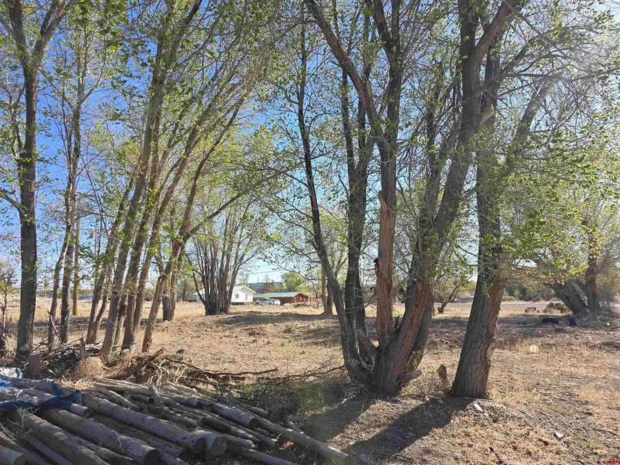 1035 8th Street, Del Norte, CO 81132 - #3
