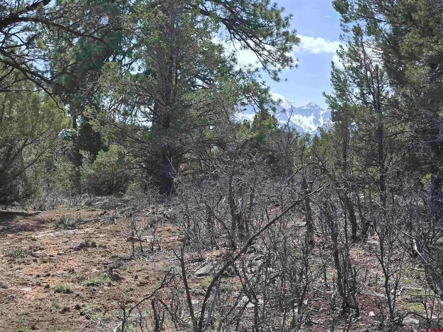 TBD Cottontail Lane, Ridgway, CO 81432 - #2