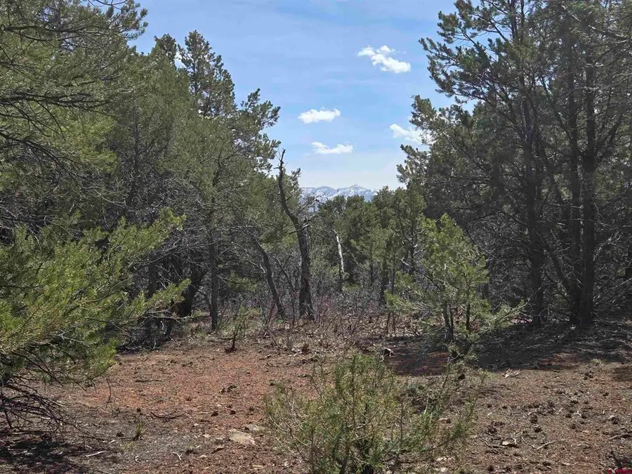 TBD Cottontail Lane, Ridgway, CO 81432 - #3