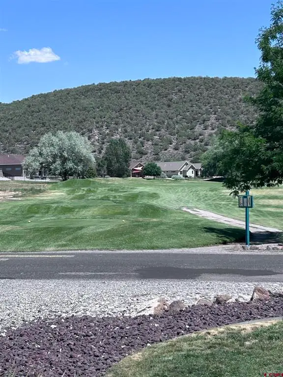 950 SE Deer Creek Drive, Cedaredge, CO 81413 - #3