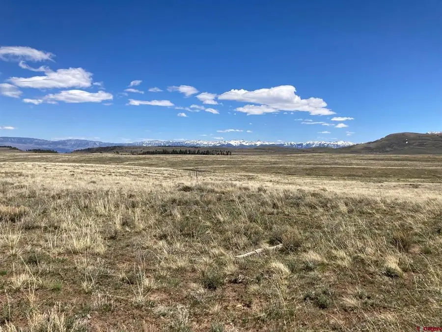 Lot 11 62x Road, Placerville, CO 81430 - #3