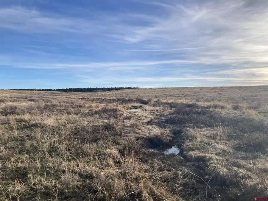 Lot 12 62x Road, Placerville, CO 81430 - #2