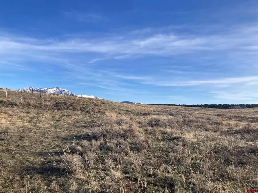 Lot 12 62x Road, Placerville, CO 81430 - #3
