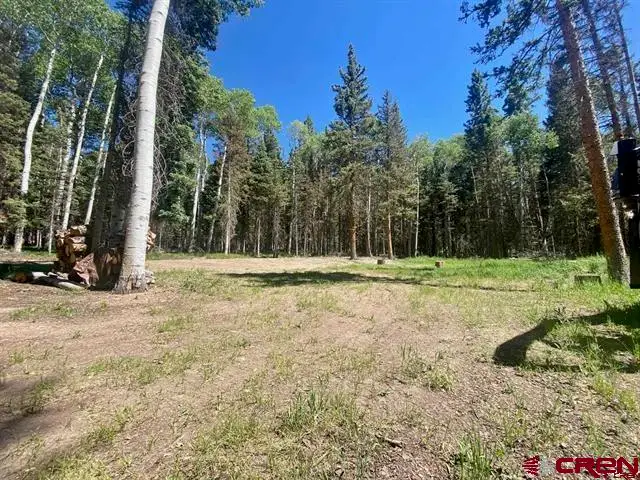 1772 Spruce Road, Cimarron, CO 81220 - #1