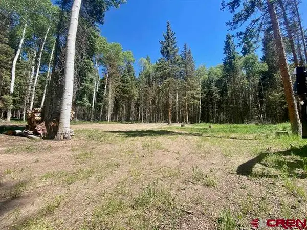 1772 Spruce Road, Cimarron, CO 81220