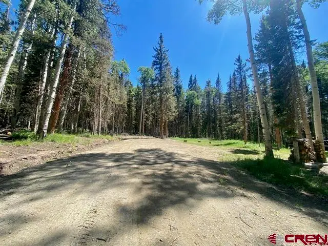1772 Spruce Road, Cimarron, CO 81220 - #3