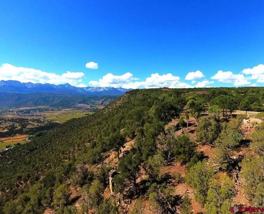 TBD Pine Drive, Ridgway, CO 81432 - #1