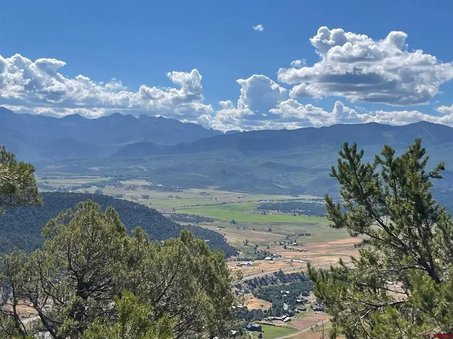 TBD Pine Drive, Ridgway, CO 81432 - #2