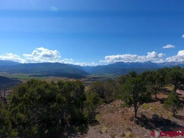 TBD Pine Drive, Ridgway, CO 81432 - #3