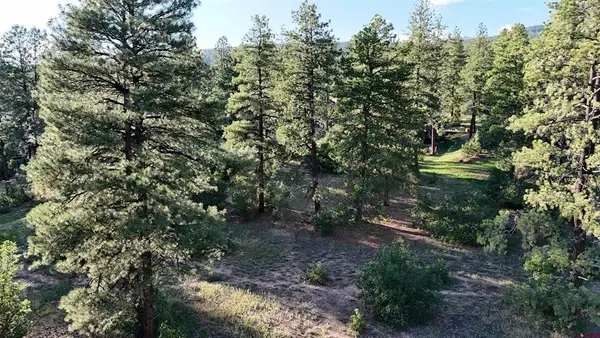 91 Engine Creek Court, Durango, CO 81301