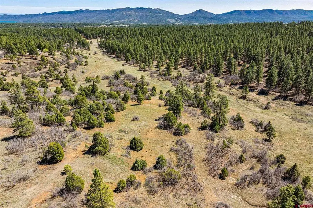 1963 County Road 125, Hesperus, CO 81326 - #1