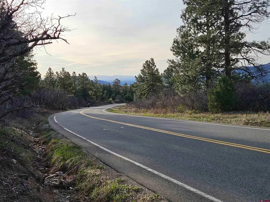 1963 County Road 125, Hesperus, CO 81326 - #3