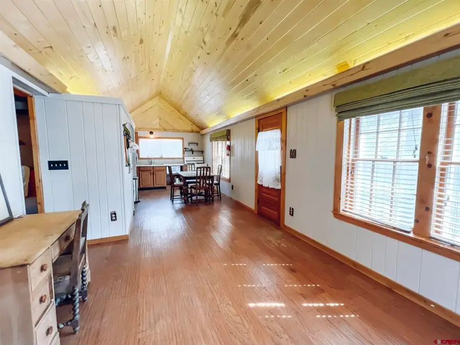 809 Silver St, Lake City, CO 81235 - #3