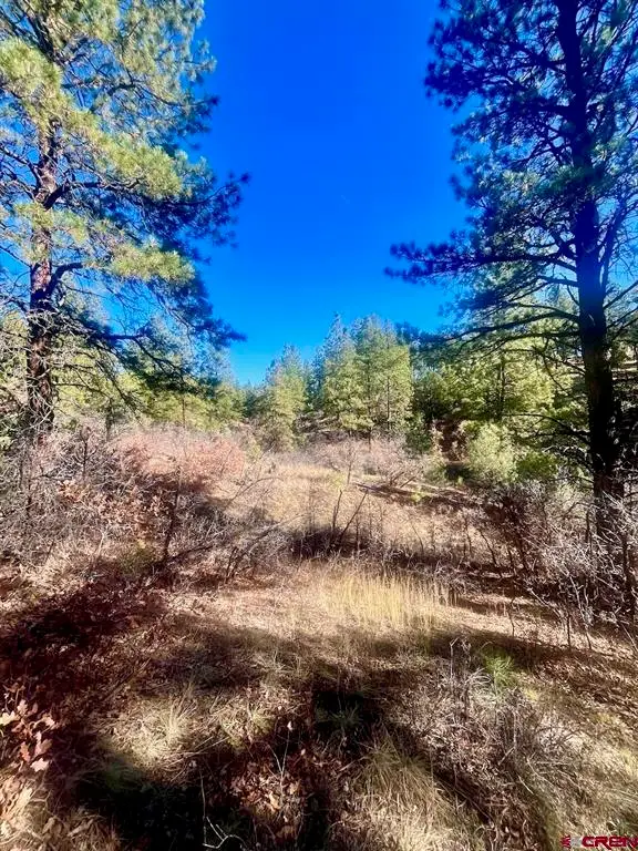 152 Lane Drive, Durango, CO 81303