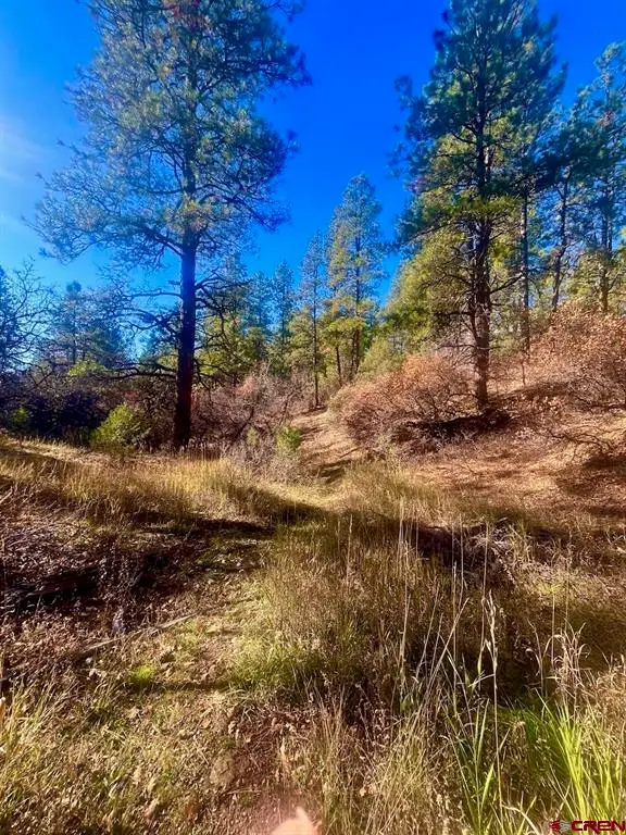 152 Lane Drive, Durango, CO 81303 - #2