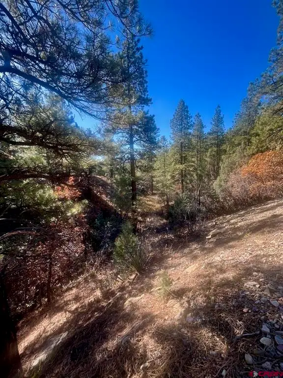 152 Lane Drive, Durango, CO 81303 - #3