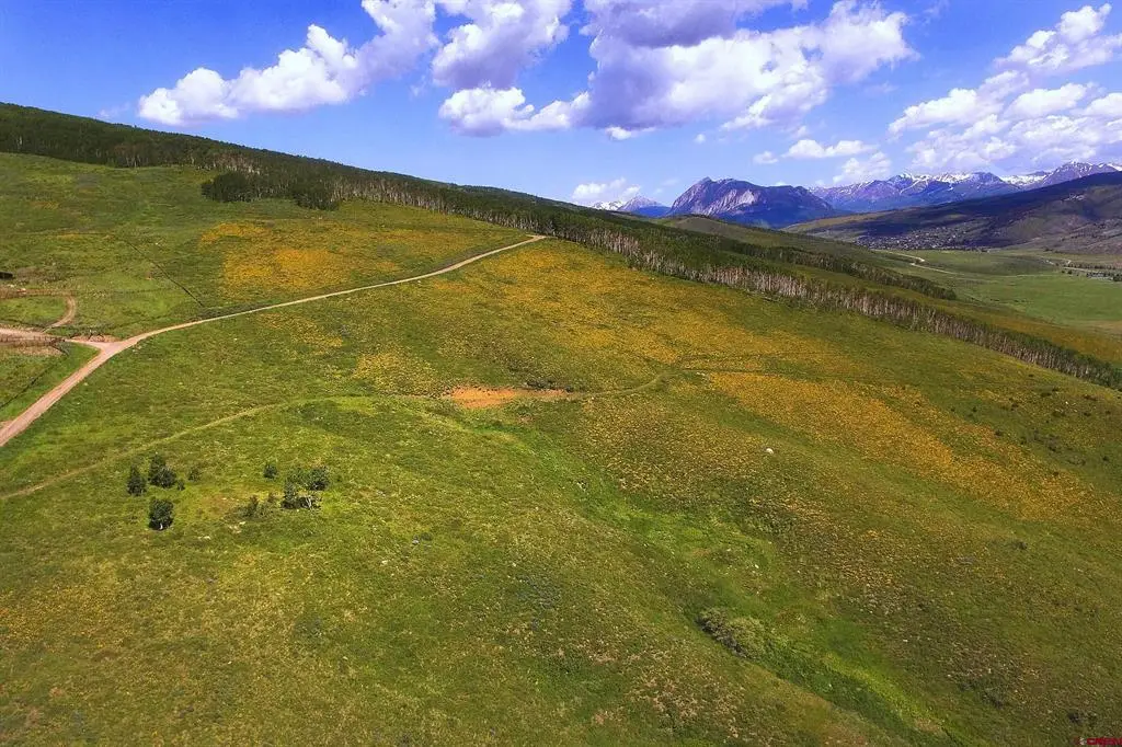 901 Red Mountain Road, Almont, CO 81210 - #1