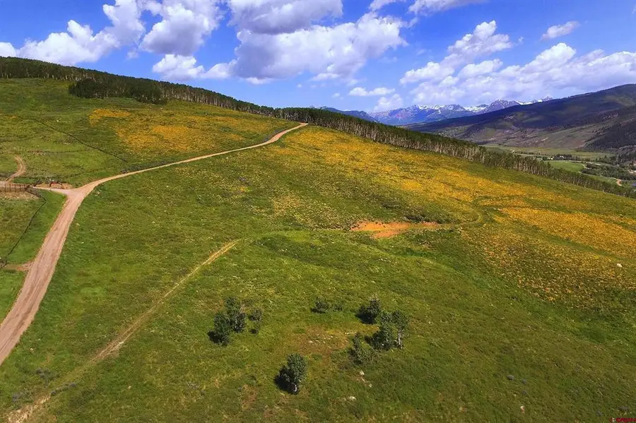 901 Red Mountain Road, Almont, CO 81210 - #3