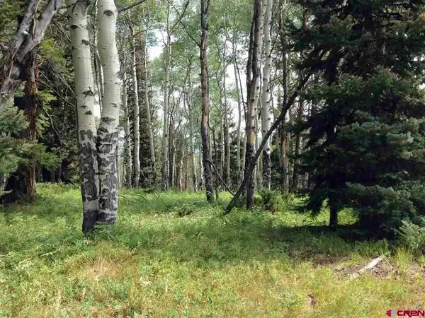 200 Crest Drive, Cimarron, CO 81220