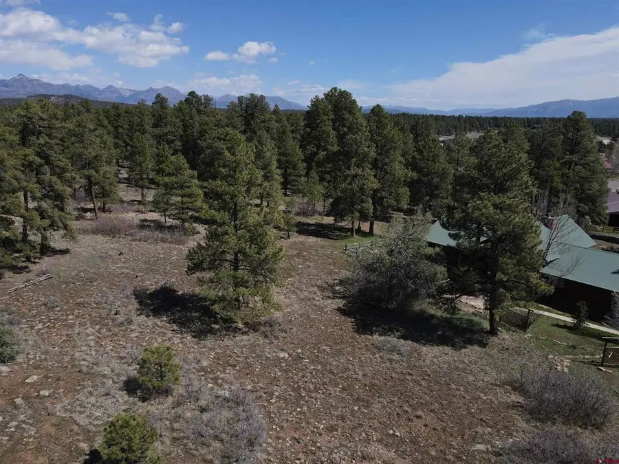 233 Martinez Place, Pagosa Springs, CO 81147 - #2