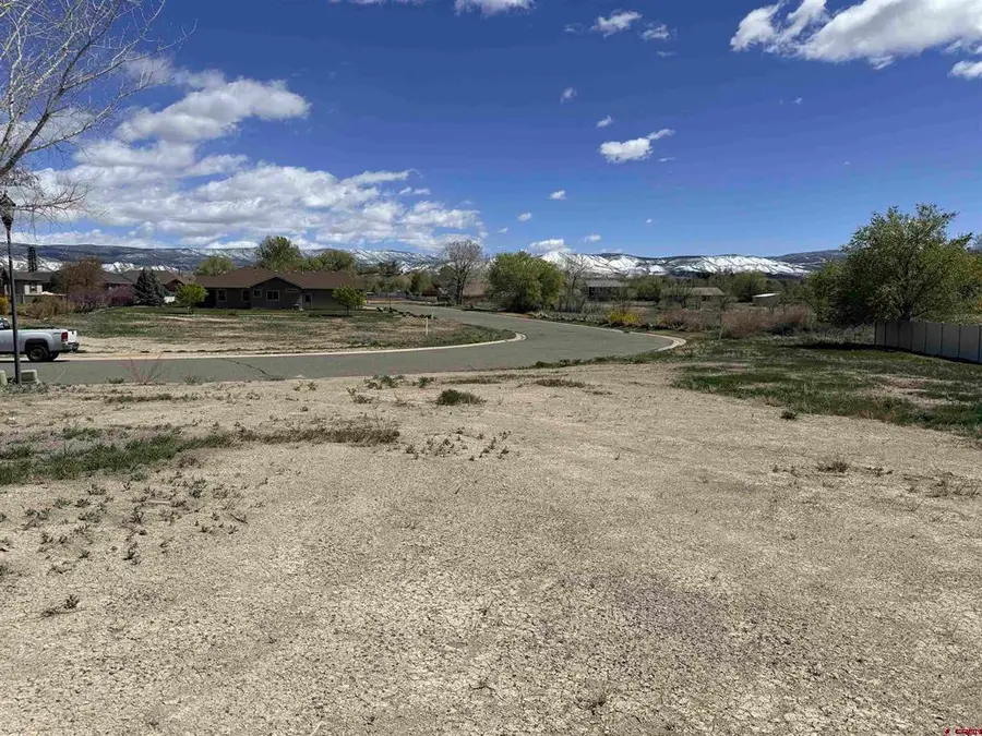 1545 Windsor Way, Montrose, CO 81401 - #2