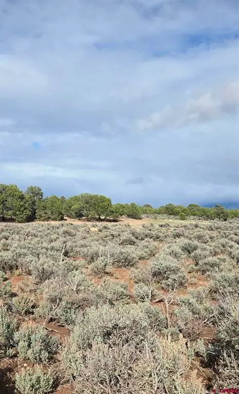 70356170 Parcel, Fort Garland, CO 81123 - #1