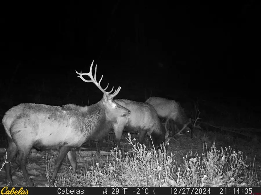 TBD County Road 382, Chromo, CO 81128 - #3