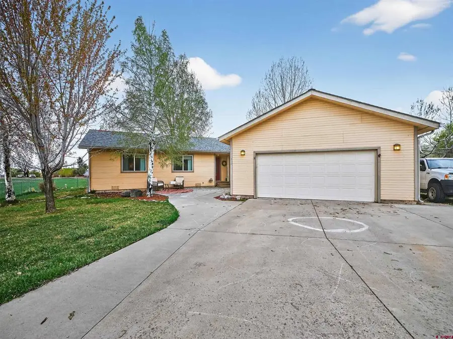 312 Meadows Circle, Bayfield, CO 81122 - #3