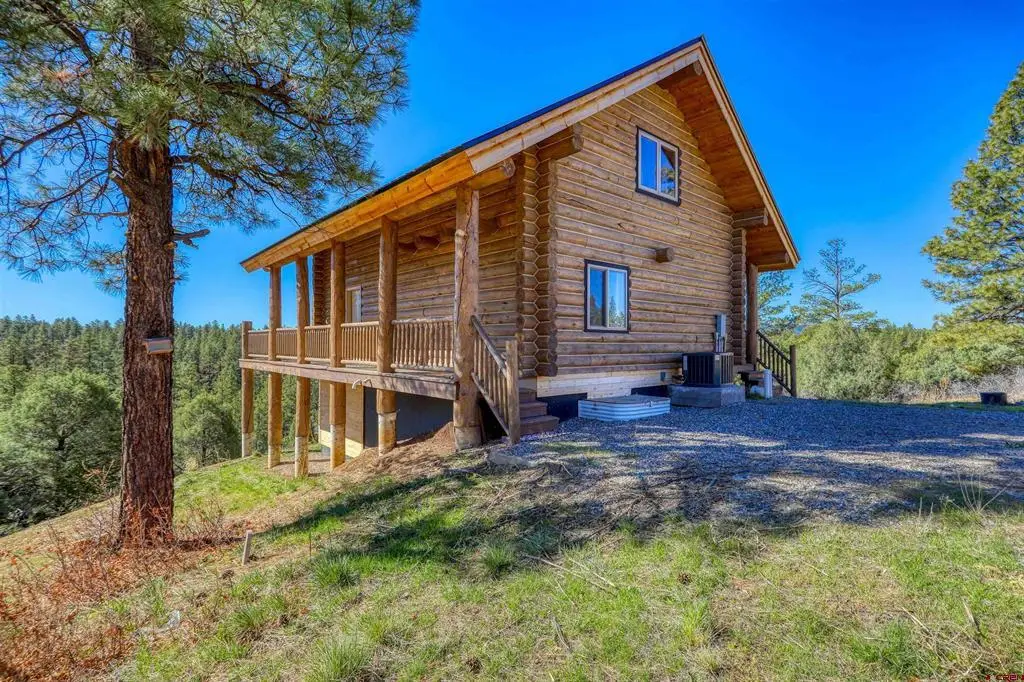 130 Carey's Court, Pagosa Springs, CO 81147 - #1