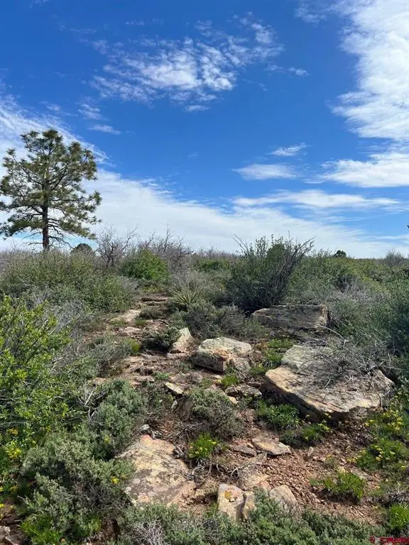 Lot 30 County Road C-3, Dove Creek, CO 81324 - #1
