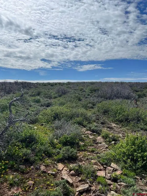 Lot 30 County Road C-3, Dove Creek, CO 81324 - #2