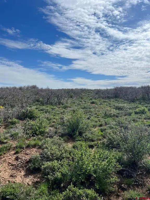 Lot 30 County Road C-3, Dove Creek, CO 81324 - #3