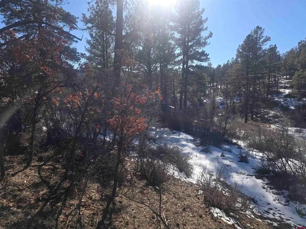 492 Circle Drive, Pagosa Springs, CO 81147 - #1