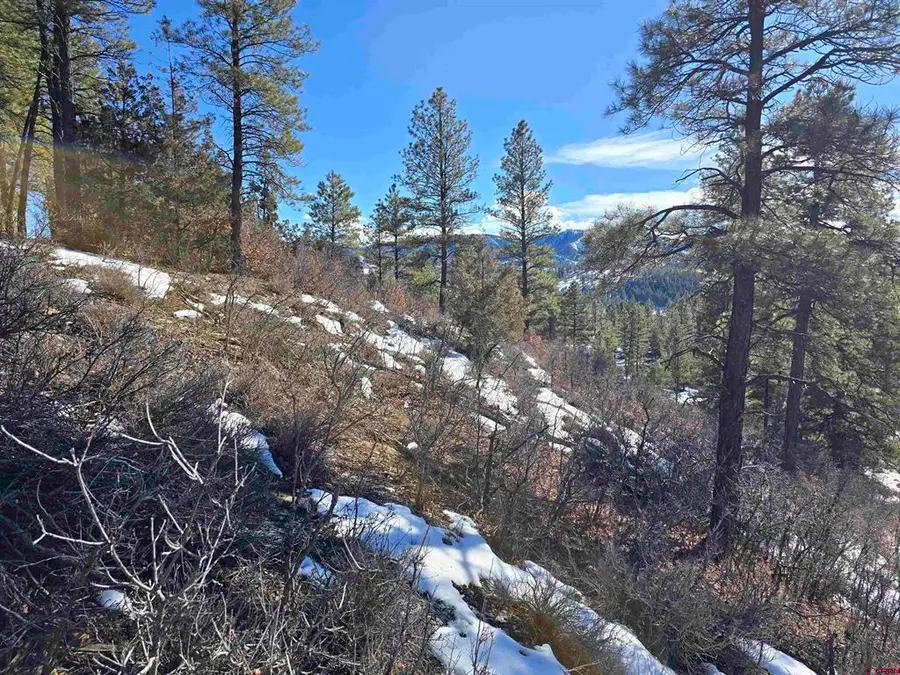 492 Circle Drive, Pagosa Springs, CO 81147 - #3