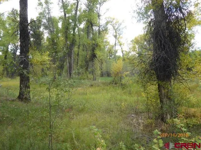30 Caddis Fly Lane, Gunnison, CO 81230 - #2