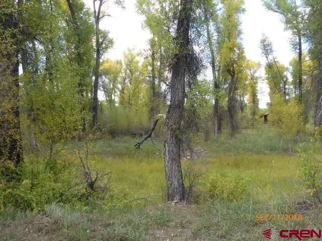 30 Caddis Fly Lane, Gunnison, CO 81230 - #3